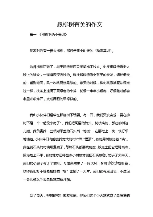 跟柳树有关的作文