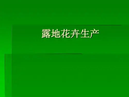 露地花卉生产