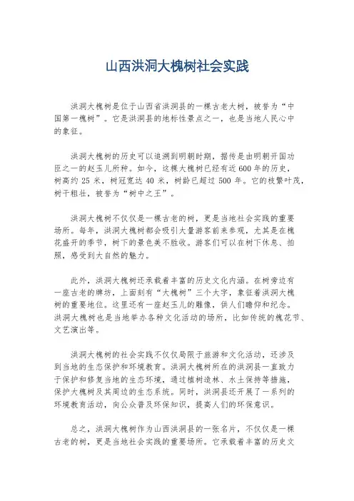 山西洪洞大槐树社会实践