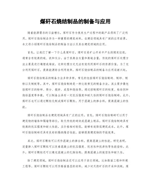煤矸石烧结制品的制备与应用