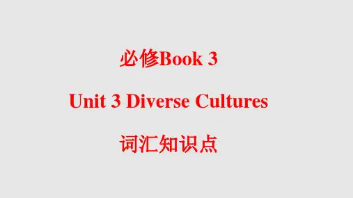 Unit 3 Diverse Cultures 词汇知识点讲解 高一英语(人教2019版必修第三册)
