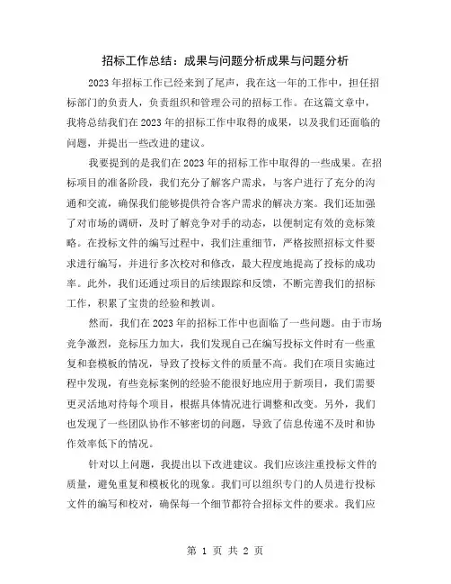 招标工作总结：成果与问题分析