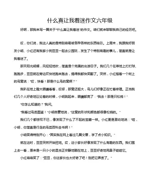 什么真让我着迷作文六年级