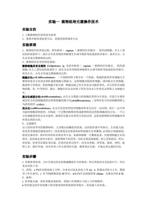 实验一 植物组培无菌操作