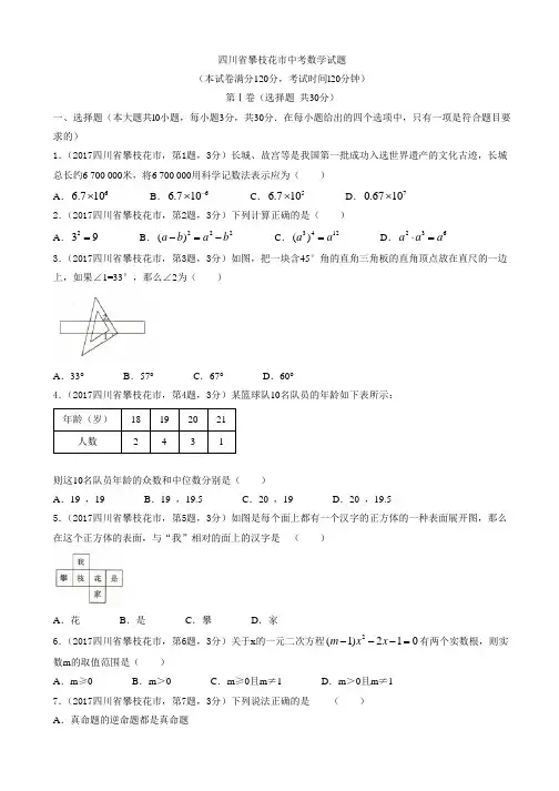 四川省攀枝花市中考数学试题有答案(Word版)