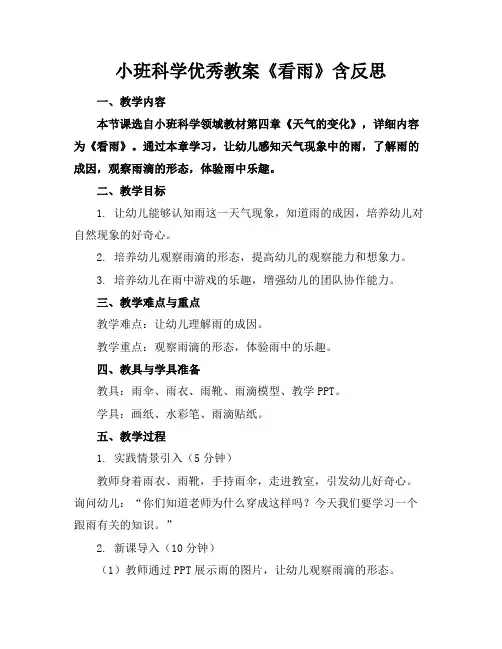 小班科学优秀教案《看雨》含反思