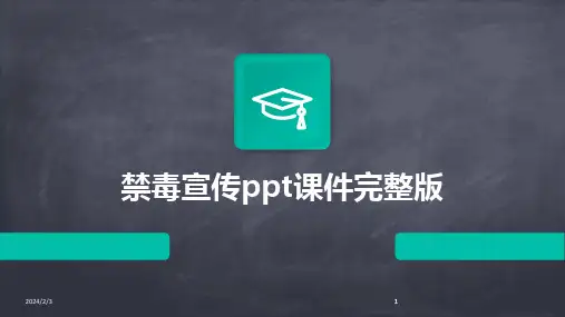 2024版年度禁毒宣传ppt课件完整版