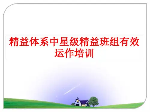 最新精益体系中星级精益班组有效运作培训