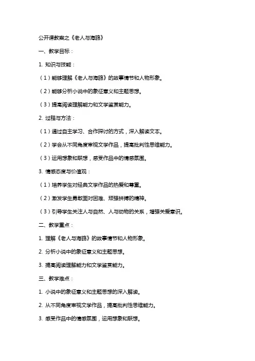 公开课教案之老人与海鸥
