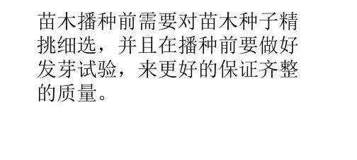 白蜡小苗播种前的准备工作