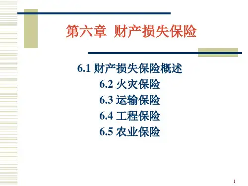 保险学第六章财产损失保险