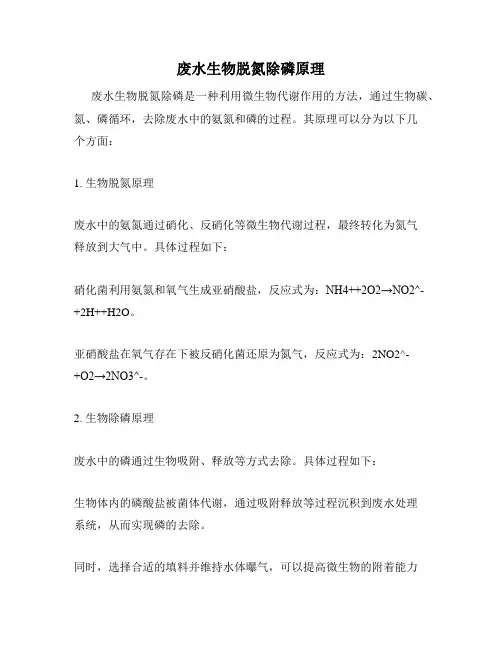 废水生物脱氮除磷原理