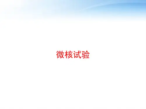 微核试验