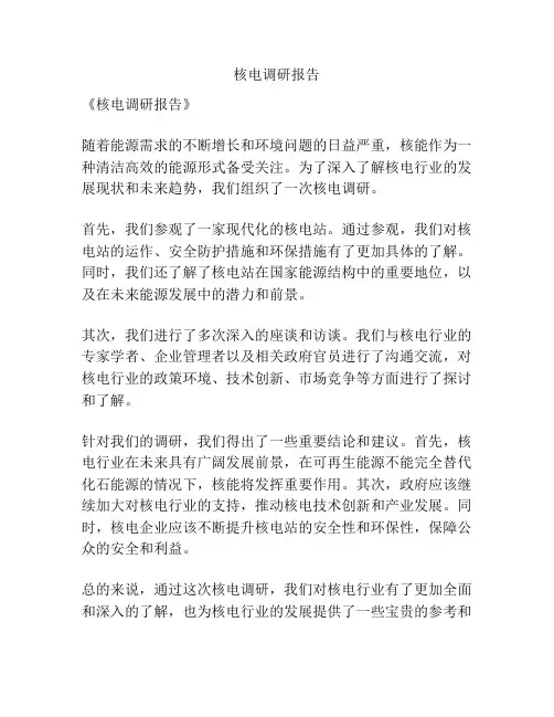 核电调研报告