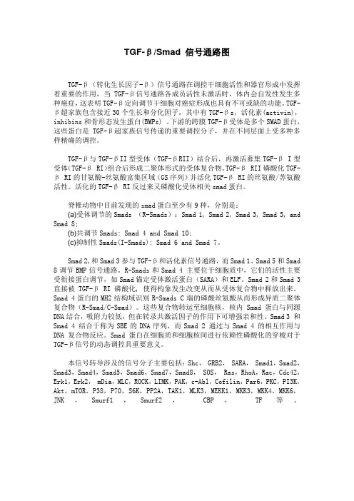 TGF-βSmad 信号通路