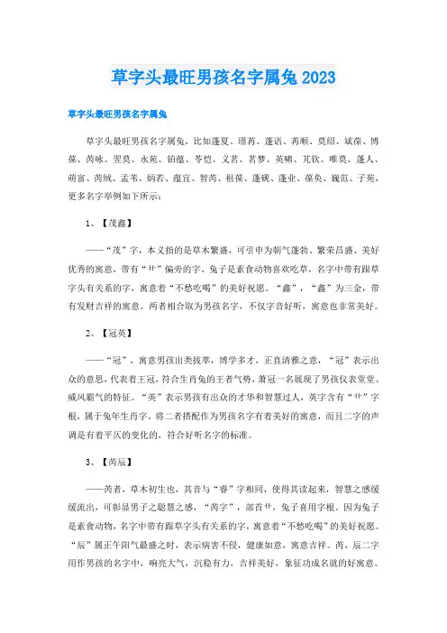 草字头最旺男孩名字属兔2023