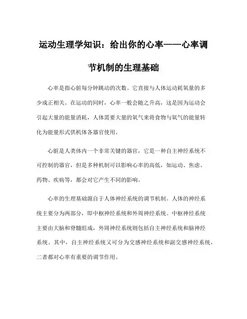 运动生理学知识：给出你的心率——心率调节机制的生理基础
