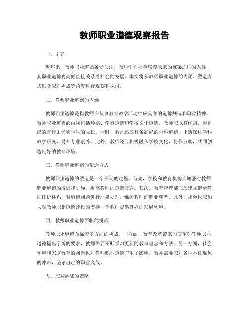 教师职业道德观察报告