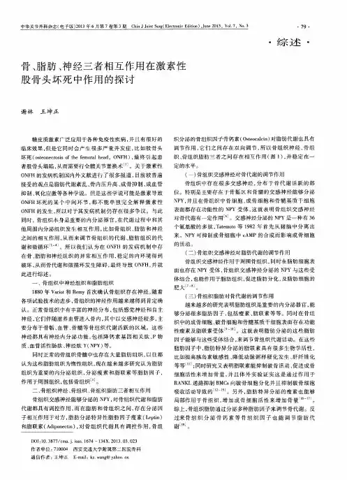 骨、脂肪、神经三者相互作用在激素性股骨头坏死中作用的探讨