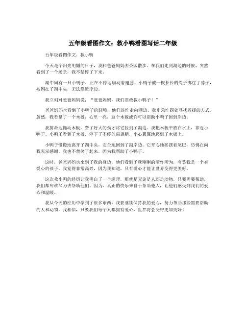 五年级看图作文：救小鸭看图写话二年级