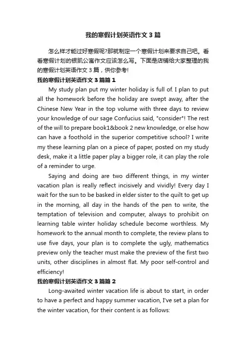 我的寒假计划英语作文3篇
