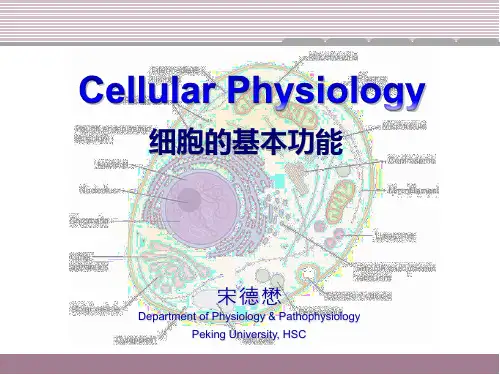 医学生理学课件 cellular physiology