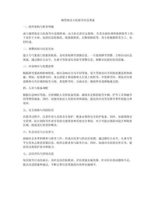 城管执法大队除雪应急预案