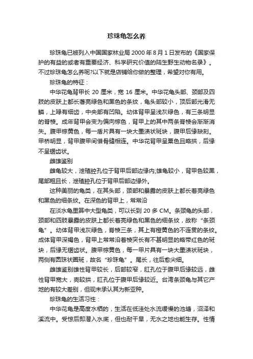 珍珠龟怎么养