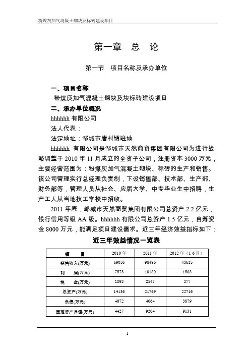 粉煤灰加气混凝土砌块及标砖建设项目可行性研究报告