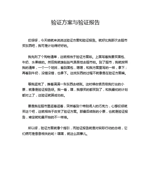 验证方案与验证报告