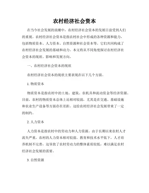农村经济社会资本