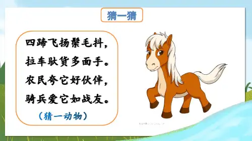14 小马过河(第一课时)课件