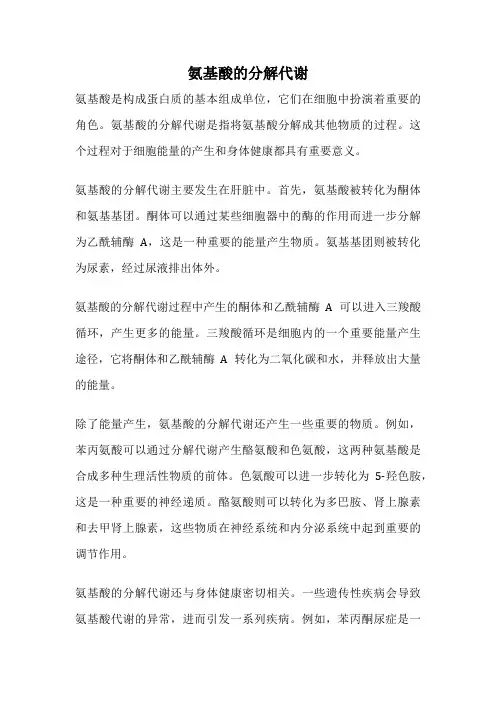 氨基酸的分解代谢