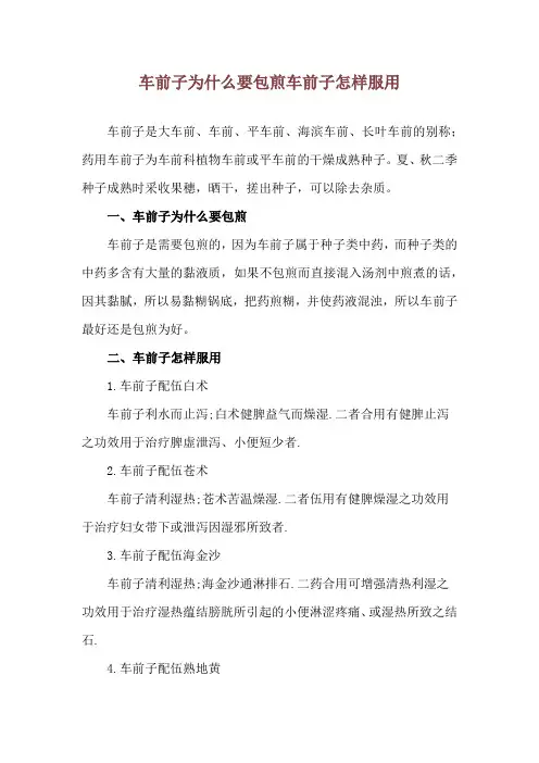 车前子为什么要包煎 车前子怎样服用