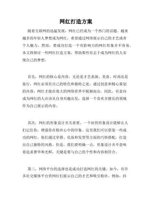 网红打造方案