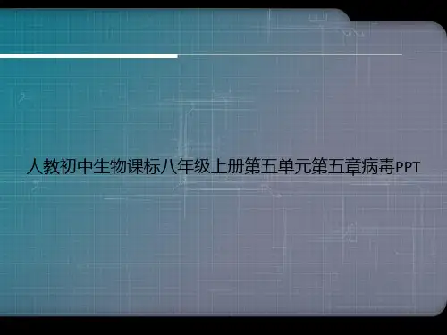 人教初中生物课标八年级上册第五单元第五章病毒PPT专选课件
