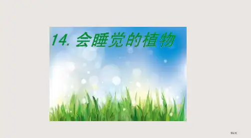 14会睡觉的植物市公开课一等奖省优质课获奖课件