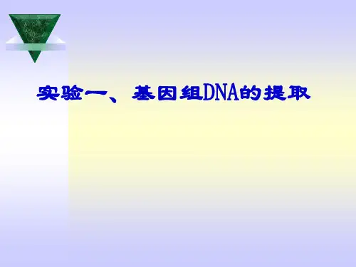 实验一 基因组DNA的提取