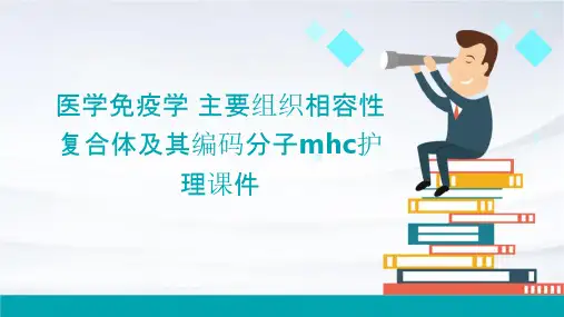医学免疫学 主要组织相容性复合体及其编码分子MHC护理课件