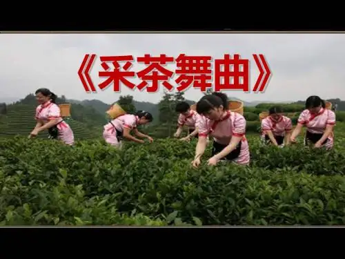 《采茶舞曲》PPT课件(上课用)2