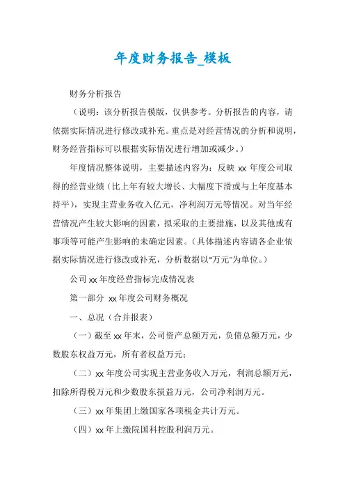年度财务报告_模板