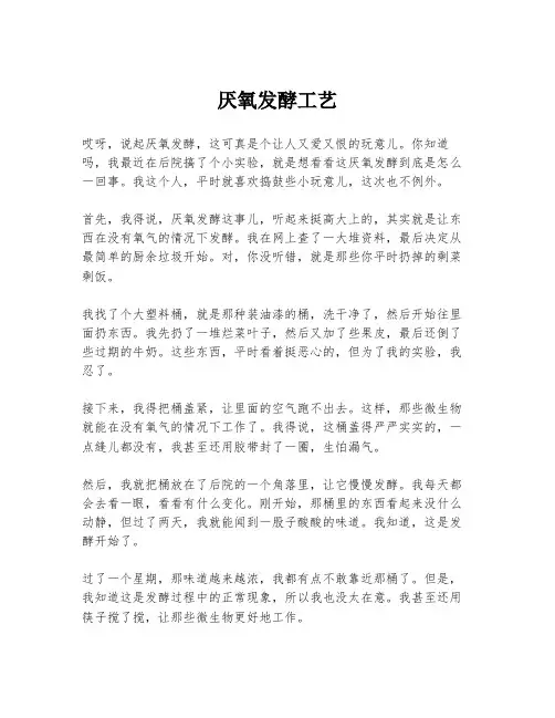 厌氧发酵工艺