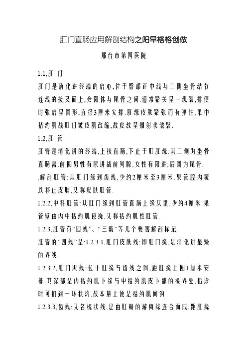 肛门直肠的解剖