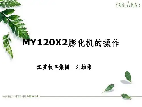 膨化机的操作概述(PPT 67页)