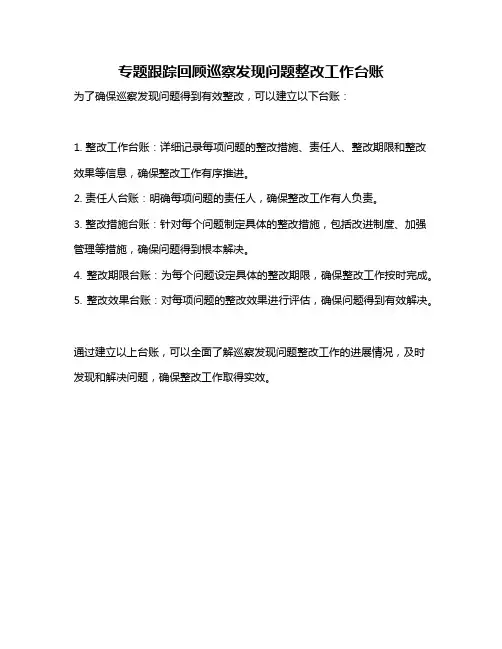 专题跟踪回顾巡察发现问题整改工作台账