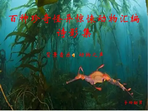 世界百种珍奇怪异惊悚动物汇编诗影集