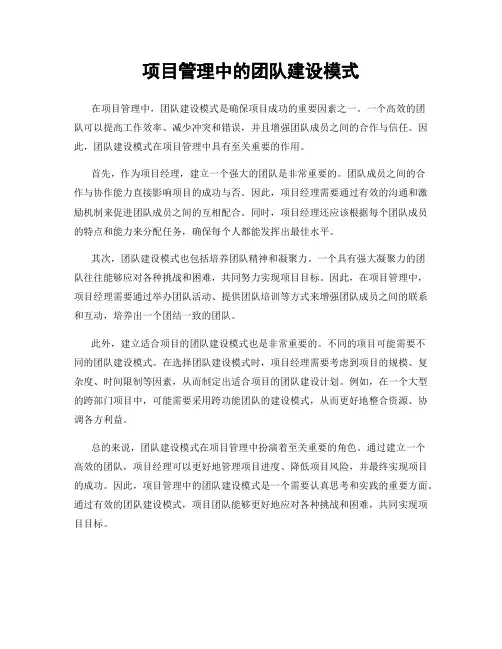项目管理中的团队建设模式