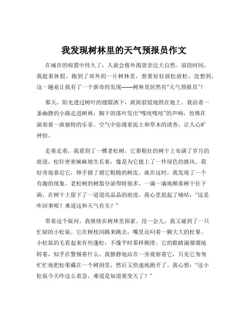 我发现树林里的天气预报员作文