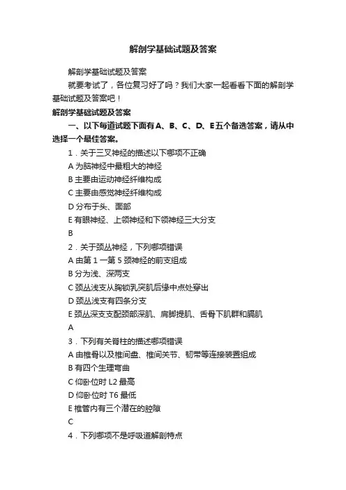 解剖学基础试题及答案
