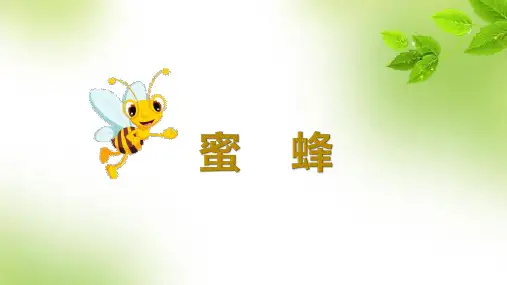 部编版三年级语文下册14.《蜜蜂》课件(共22张PPT)